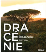Dracénie, Terres de Provence