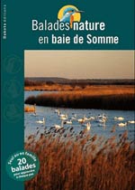 Balades Nature en Baie de Somme