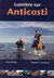 Lumière sur Anticosti
