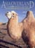 Asia Overland, Tales of the Trans-Siberian & Silk Road