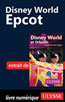 Disney World - Epcot