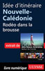 Idée d'itinéraire Nouvelle-Calédonie - Rodéo dans la brousse