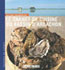Carnets de Cuisine du Bassin d'Arcachon
