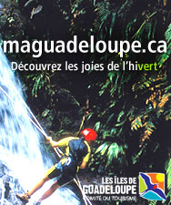 maguadeloupe.ca