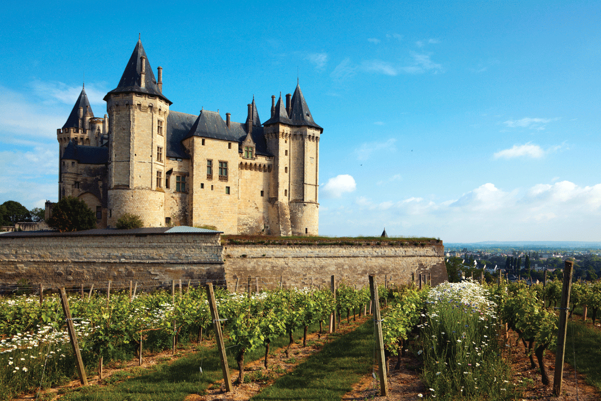 Voyage à travers les plus beaux vignobles de France