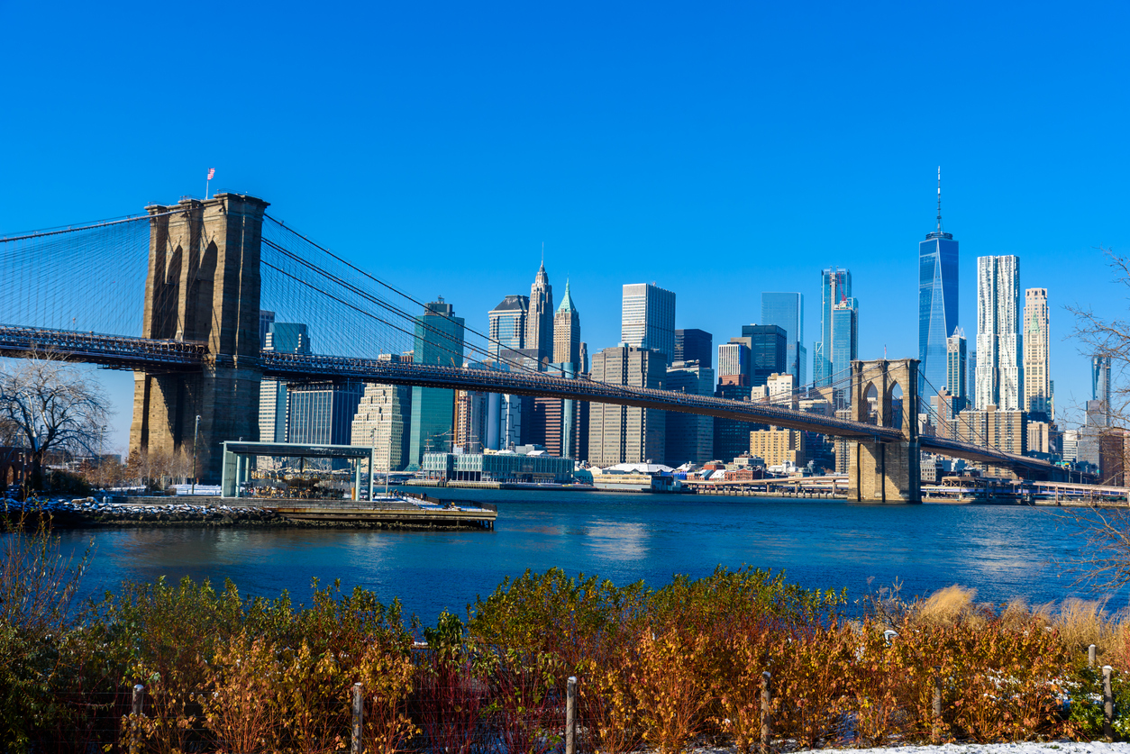 Vue sur Manhattan depuis le Brooklyn Bridge Park dans le quartier de Brooklyn.  © iStock /Simon Dannhauer