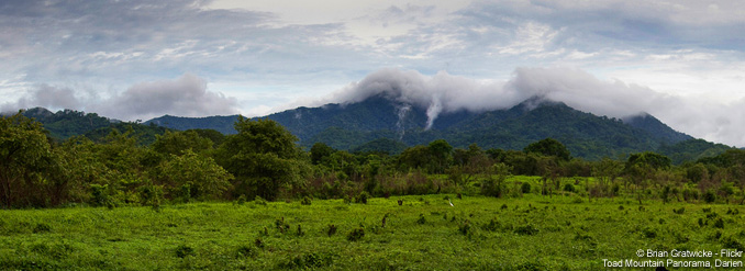 Panamá : explorez une biodiversité exceptionnelle