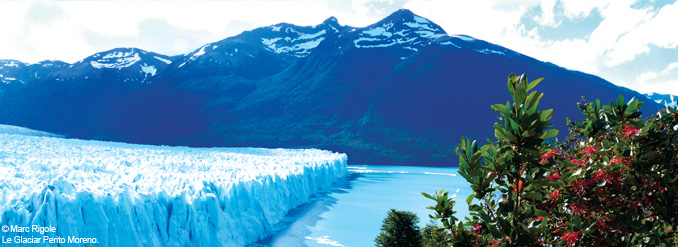 À la rencontre du spectaculaire Parque Nacional Los Glaciares en Patagonie