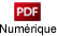 PDF