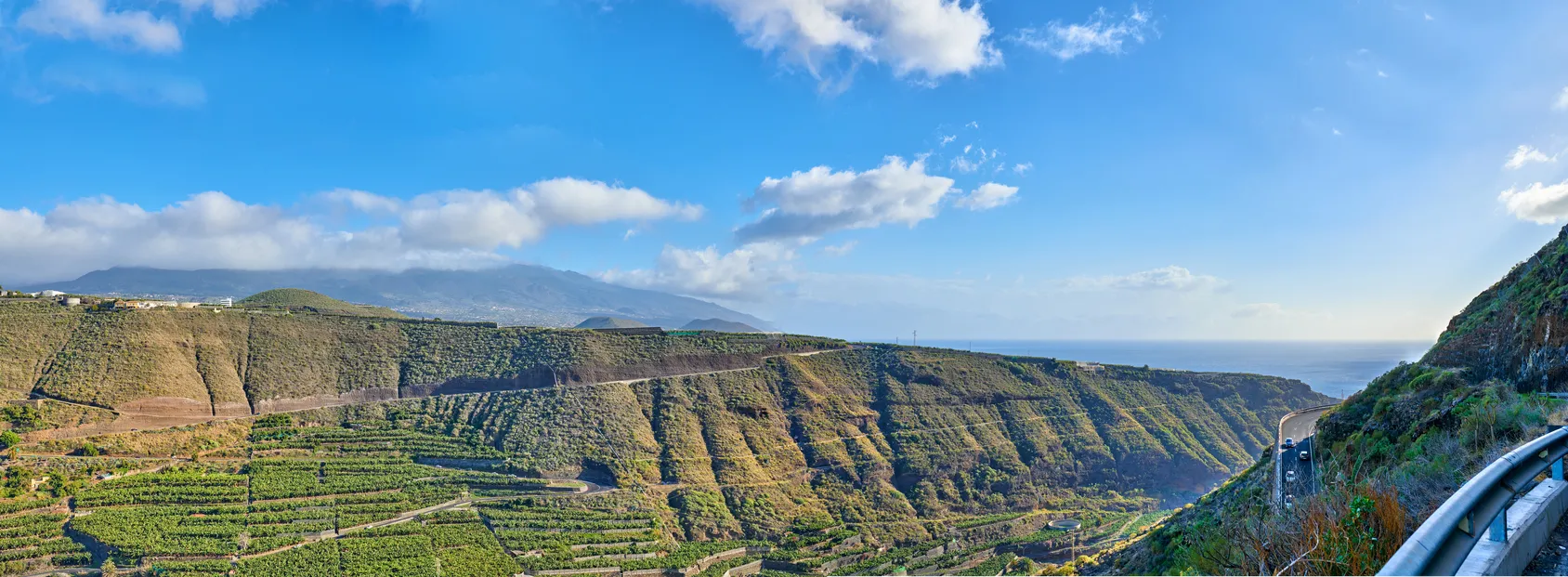 Bananeraies près de Los Llanos, île de La Palma, Canaries, Espagne  © iStock / Dhoxax