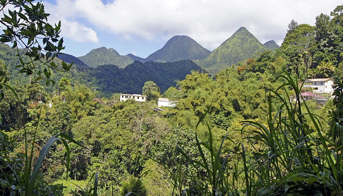 La montagne Pelée, Martinique © iStock / Eduardo Cabanas