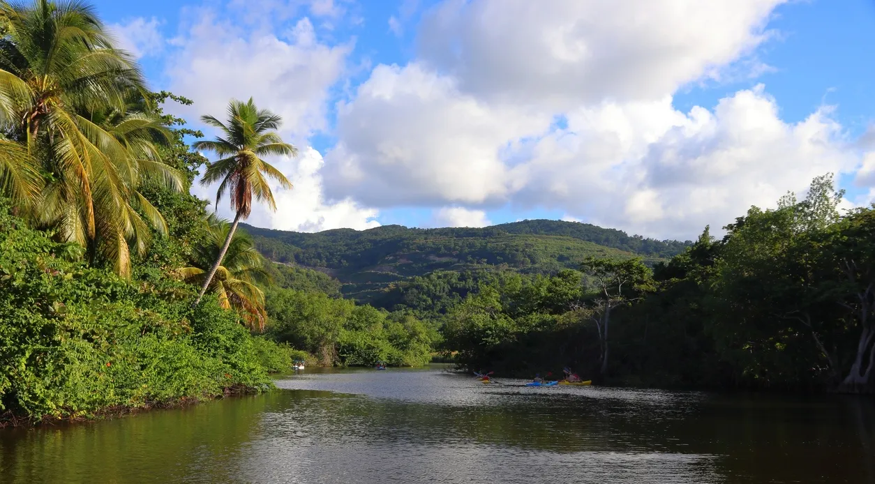 Basse-Terre en Guadeloupe © iStock / tupungato