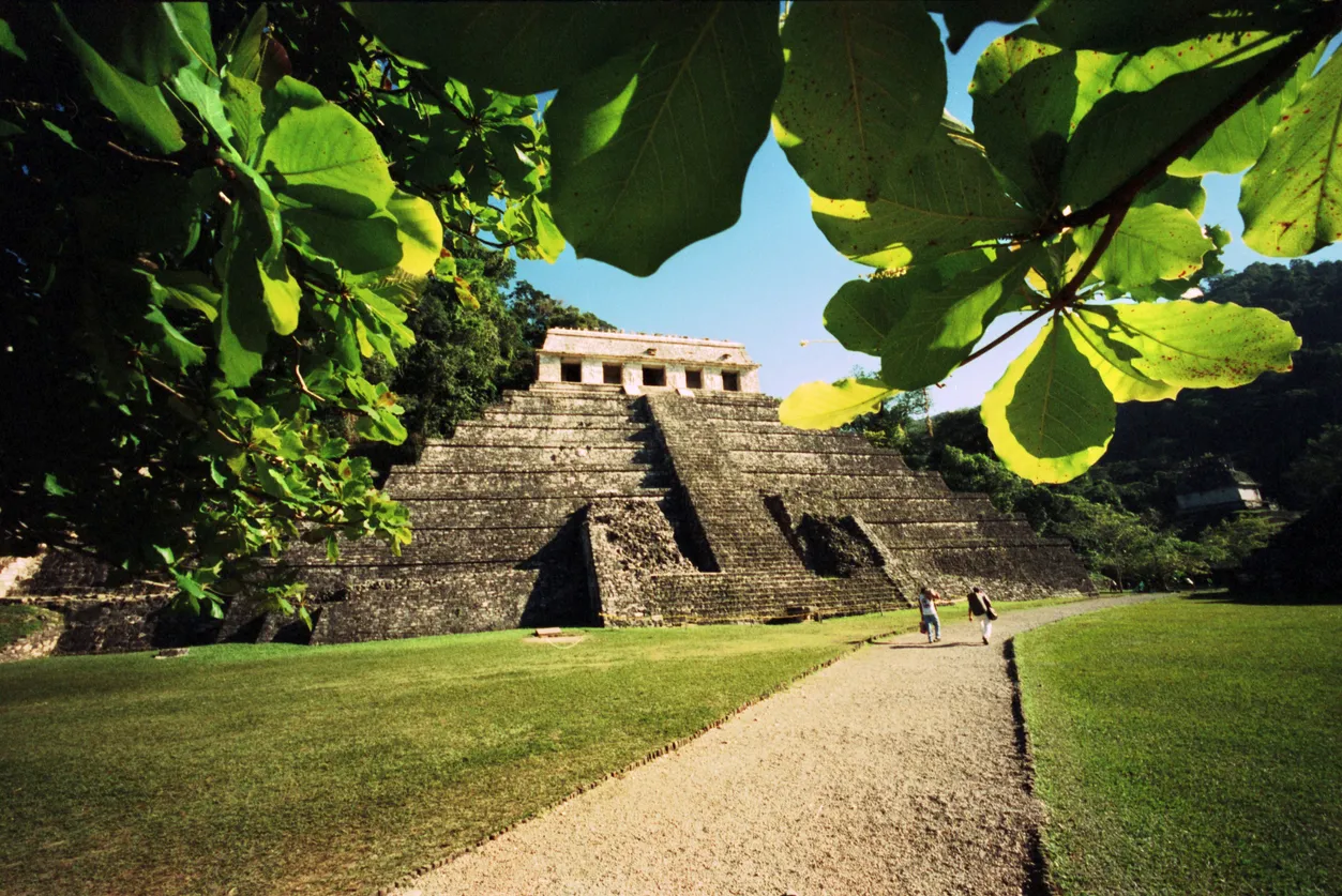 Temple maya à Palenque, Chipas, Mexico © iStock / Nikada