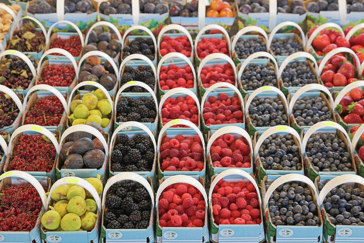  Les savoureux petits fruits du Québec © iStock /  Greg Panosian