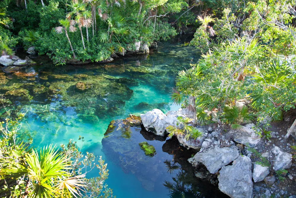 Cenote aux eaux turquoise à Xel-Ha, Cancún | © Jonah_Photos