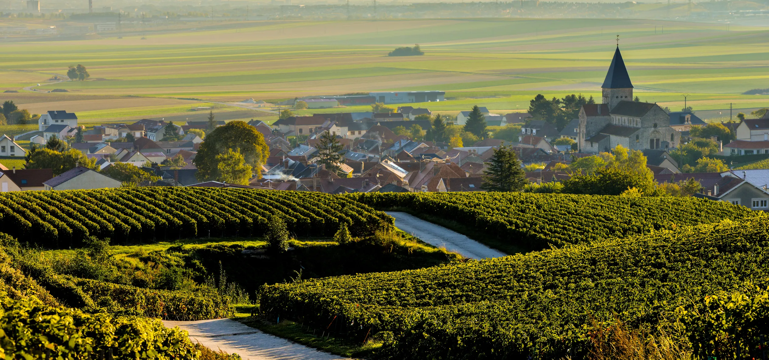 Sacy, au cœur de la Montagne de Reims et de l'appellation "champagne". | © iStock / Esperanza33