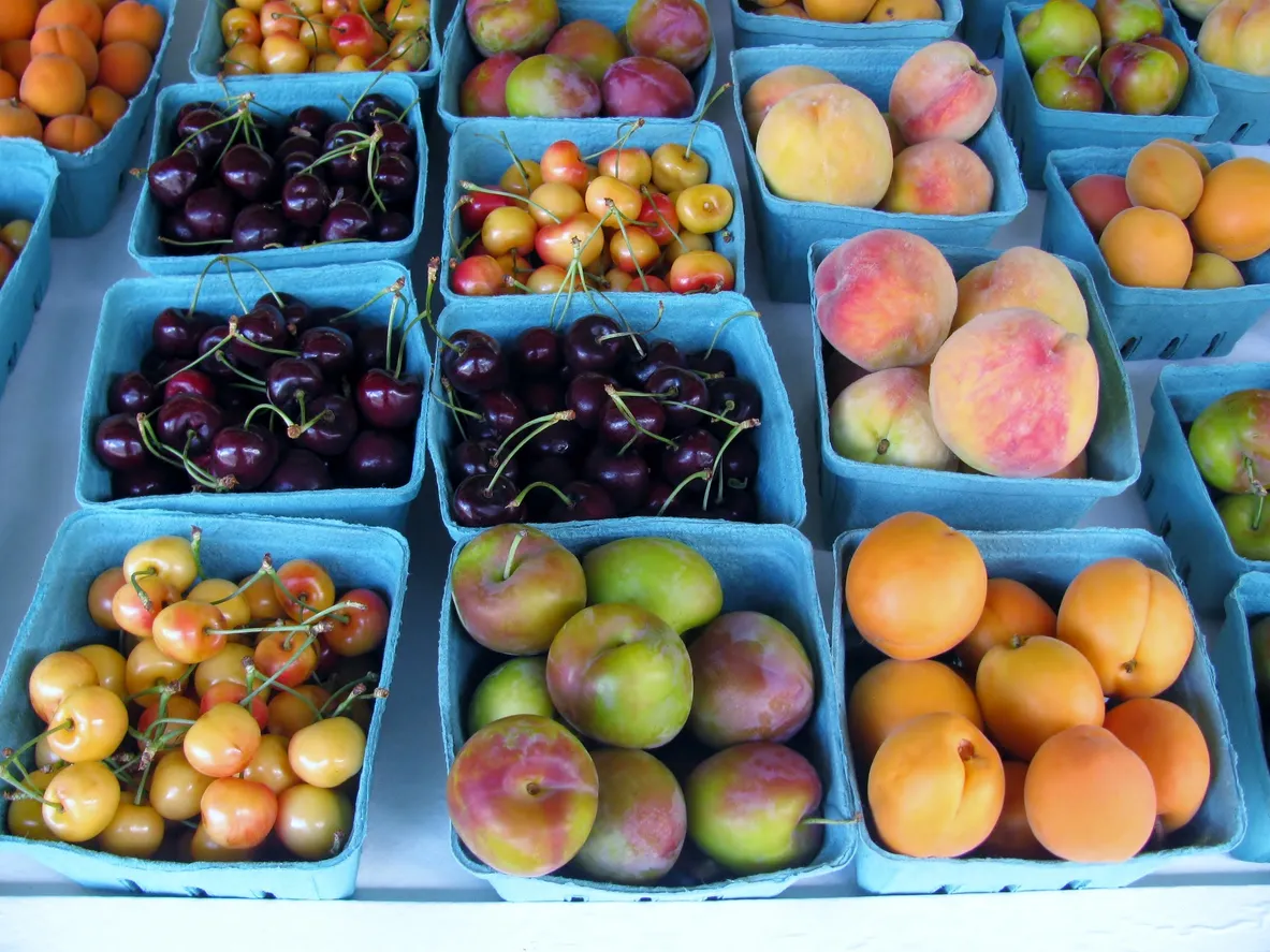 Des fruits frais au marché de Kelowna, Vallée de l'Okanagan © iStock / Irina274
