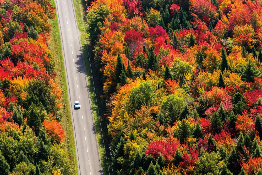 Sur les routes du Québec à l'automne. | ©Shutterstock.com/FOTOimage Montreal