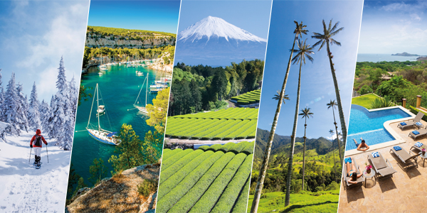 Palmares hiver 2019 Ulysse