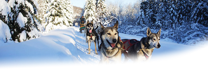 Destination Soleil Ulysse