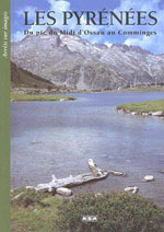 Les Pyrénées, du Pic du Midi d