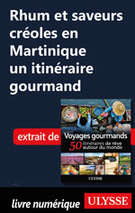 Rhum et saveurs créoles en Martinique un itinéraire gourmand