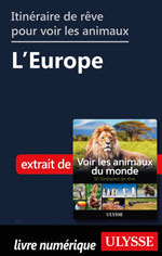 Itinéraires de rêve pour voir les animaux -  L