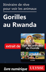 Itinéraire de rêve pour voir les animaux Gorilles au Rwanda