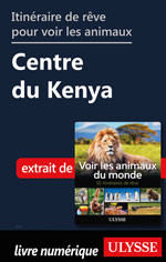 Itinéraire de rêve pour voir les animaux -  Centre du Kenya
