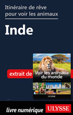 Itinéraire de rêve pour voir les animaux -  Inde