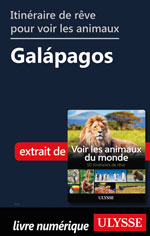 Itinéraire de rêve pour voir les animaux -  Galápagos
