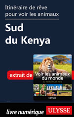 Itinéraire de rêve pour voir les animaux -  Sud du Kenya