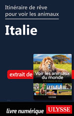 Itinéraire de rêve pour voir les animaux -  Italie