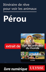 Itinéraire de rêve pour voir les animaux -  Pérou