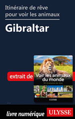 Itinéraire de rêve pour voir les animaux -  Gibraltar