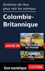 Itinéraire rêvé pour voir les animaux Colombie-Britannique