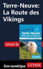 Terre-Neuve: La Route des Vikings