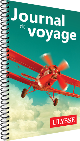 Journal de voyage Ulysse - L'avion