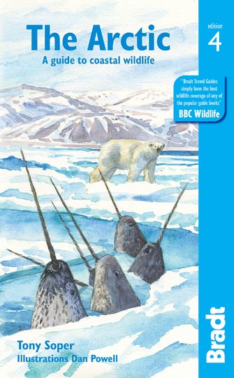 The Arctic: a Guide to Coastal Wildlife