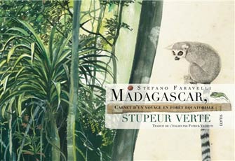 Madagascar, Stupeur Verte : Voyage Enforêt Équatoriale
