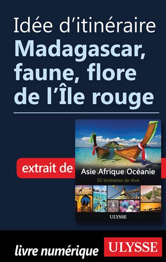 Idée d'itinéraire - Madagascar, faune, flore de l’Île rouge 