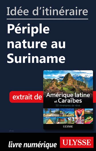 Idée d'itinéraire - Périple nature au Suriname
