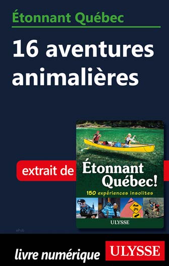 Étonnant Québec: 16 aventures animalières