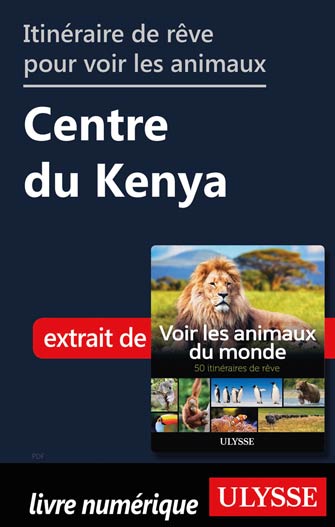 Itinéraire de rêve pour voir les animaux -  Centre du Kenya