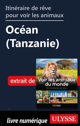 Itinéraire de rêve pour voir les animaux - Océan (Tanzanie)