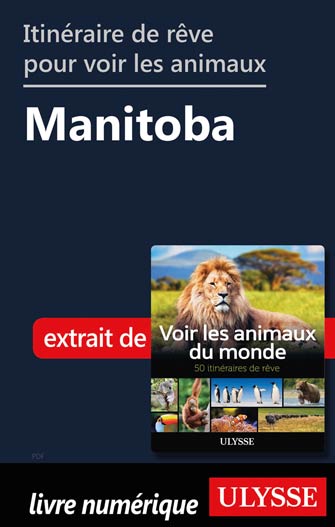 Itinéraire de rêve pour voir les animaux -  Manitoba