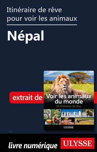 Itinéraire de rêve pour voir les animaux -  Népal