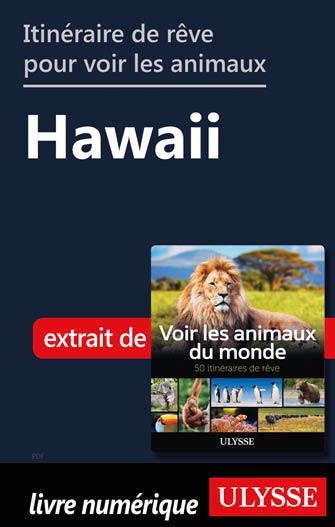 Itinéraire de rêve pour voir les animaux -  Hawaii