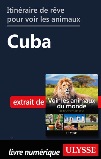 Itinéraire de rêve pour voir les animaux -  Cuba