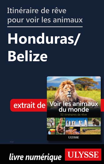 Itinéraire de rêve pour voir les animaux -  Honduras/Belize